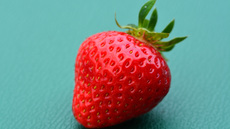 Erdbeere (1).jpg